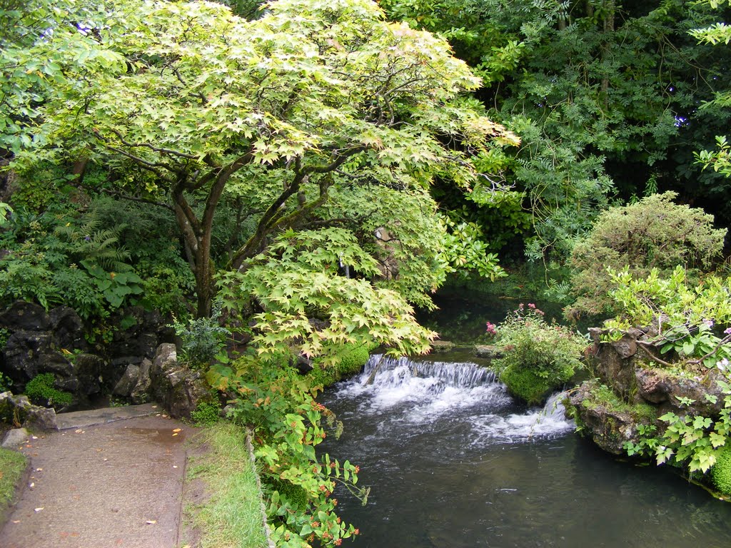 Kildare Japanese garden by zsorzsett