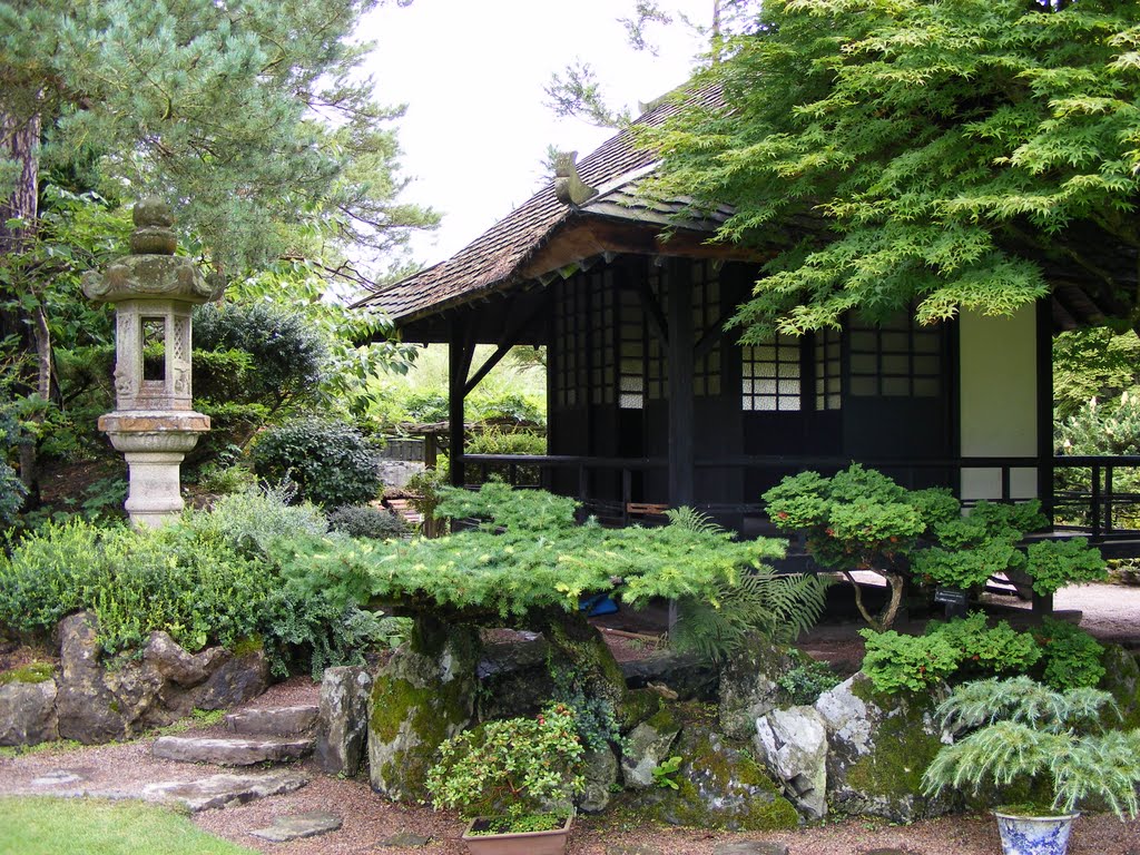 Kildare Japanese garden by zsorzsett