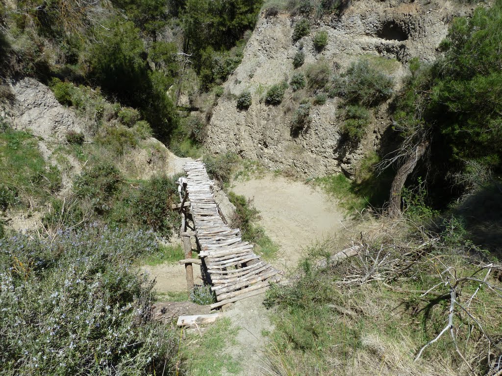 Vereda de Descenso by antonio_aguilera