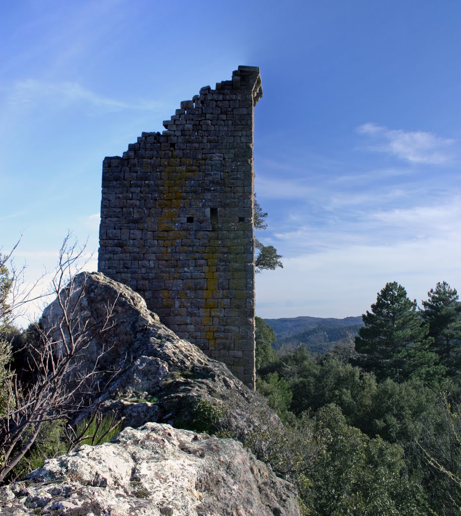 La Tour de Peyre, Soudorgues. by Jacques REY