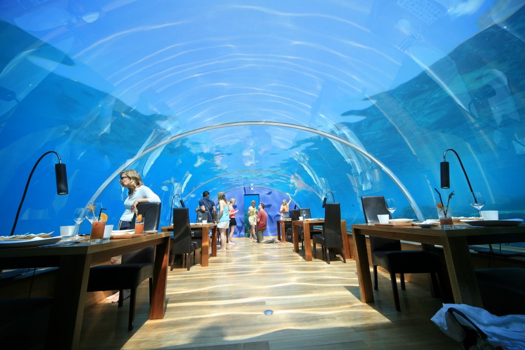 undersea restaurant by purpurchi