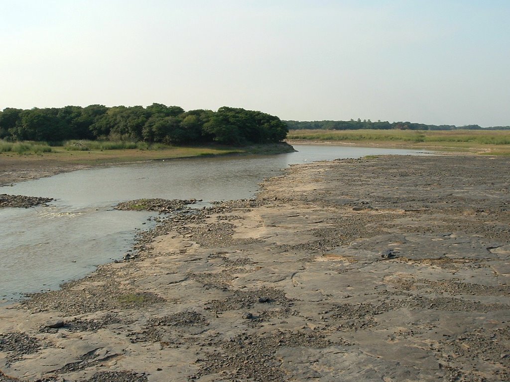 Paso San Roquito(Rio Miriñay)Mercedes.Corrientes by Arturo Herrero