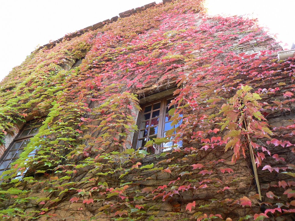 Otoño, Cordes by luisde