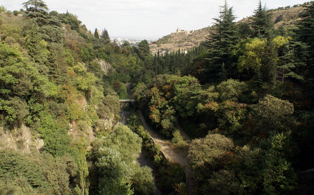 Botanical garden , Tbilisi, Georgia, Sept.2007 by Ivan Samarin