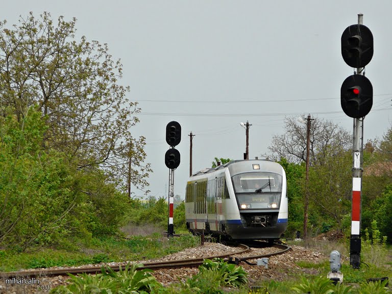 Trenul Economic (mai 2011) by Mihai Călin