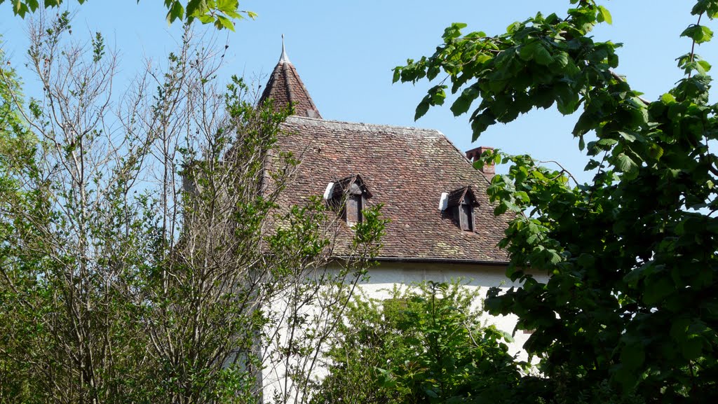 St laurent du pont by Dominic Mathieu