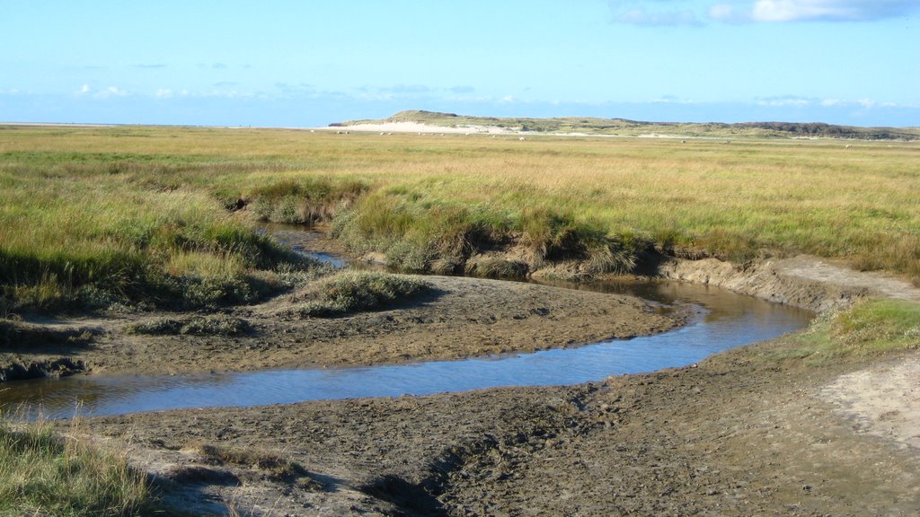 De Slufter, Texel, Holland by Jan Graeser