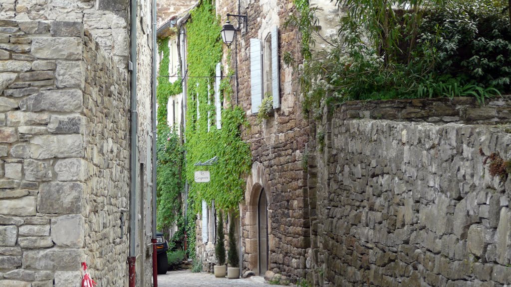 Noves village de caractere by Dominic Mathieu