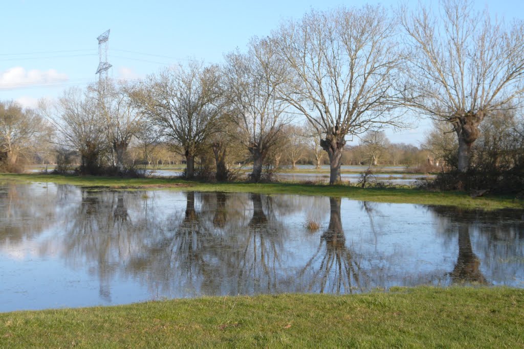 Cordemais, crue de la Loire sur les prés inondables by tofil44