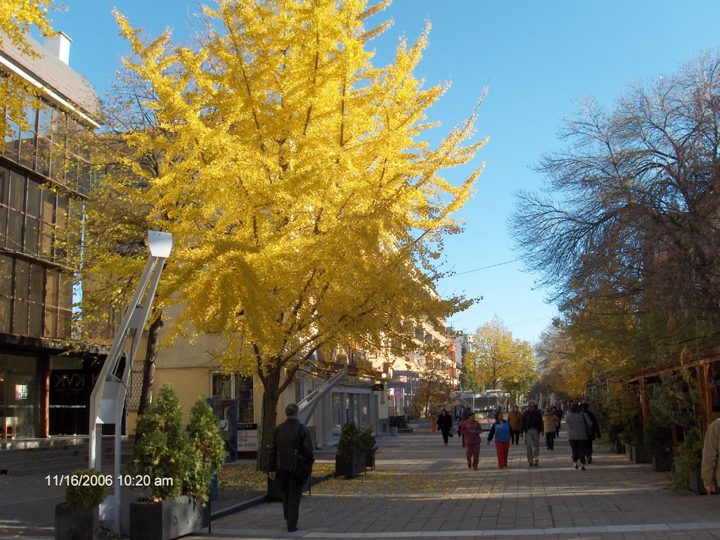 Haskovo-Bulgaria by r.senturk