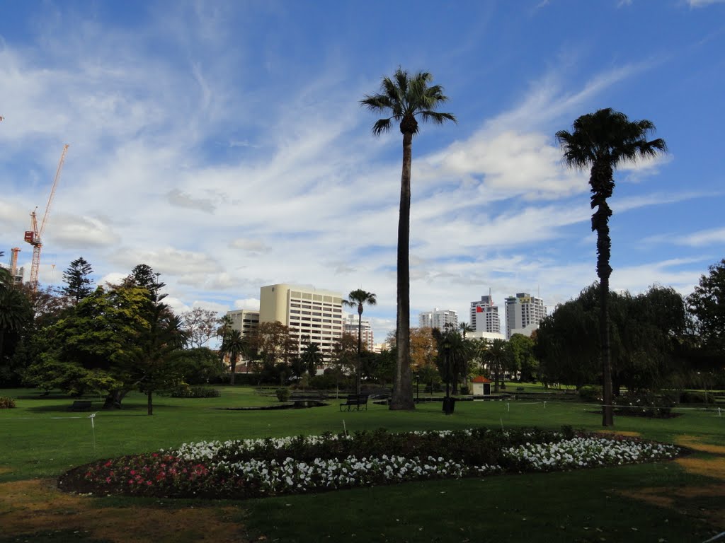 Queens Park, Perth. by Ashvin Lobo