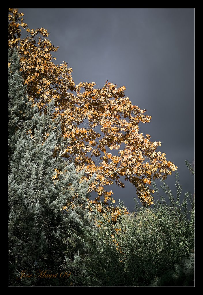 Tormenta. by Jose Mauri II