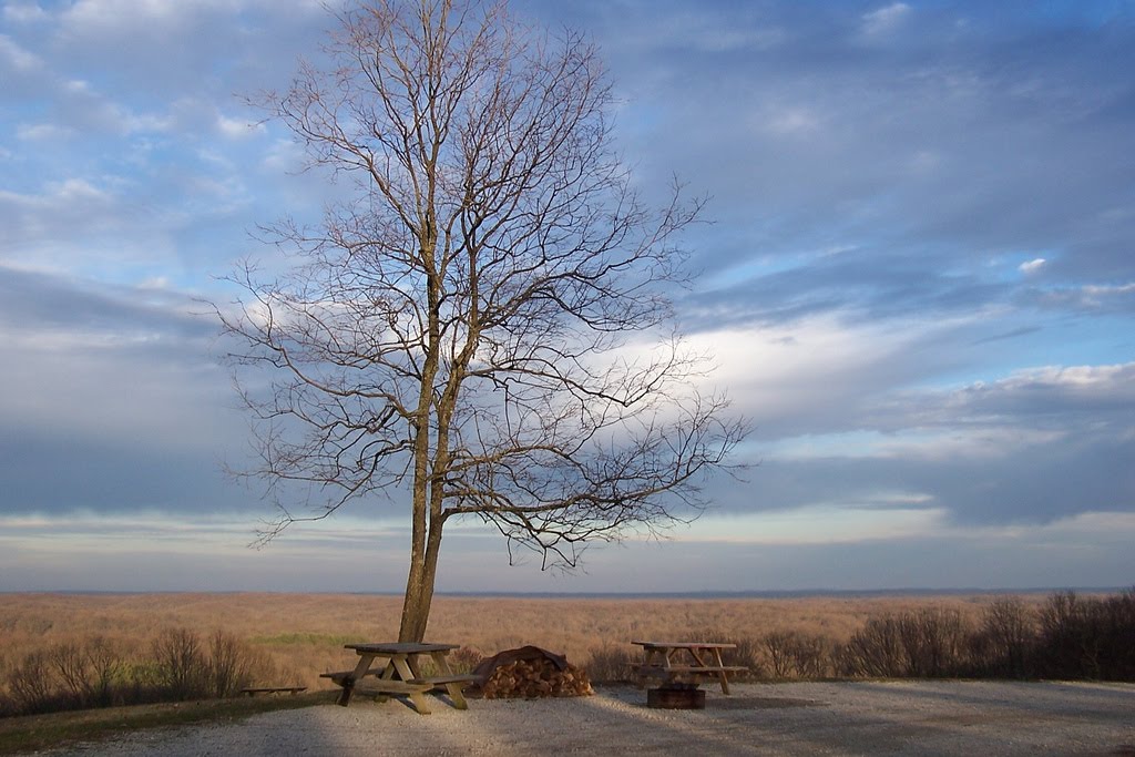 Brown County State Park, Indiana by J. Stephen Conn