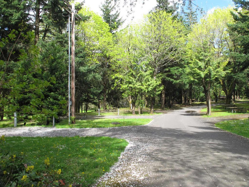 Viento State Park campground by Curious Gorge Guidebook