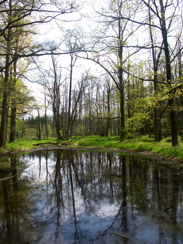 Zámecký park Blatná by Kamil Kristen Brzák-THERESIAE RTM