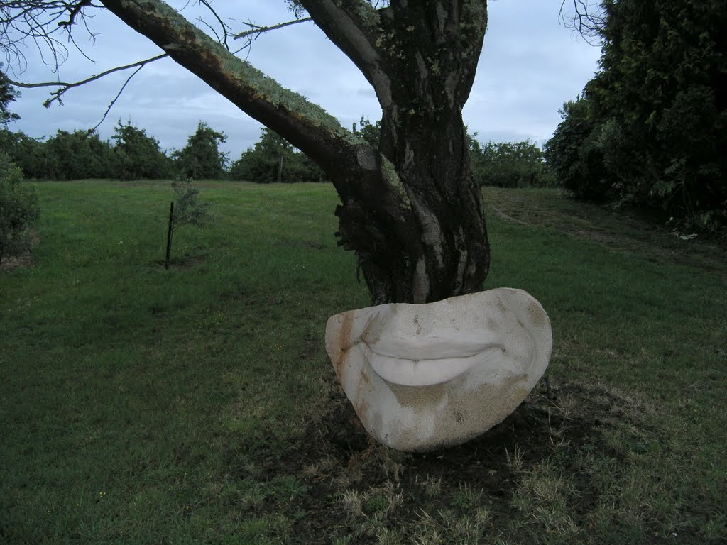 Open air art studio near Motueka by Tomas K☼h☼ut