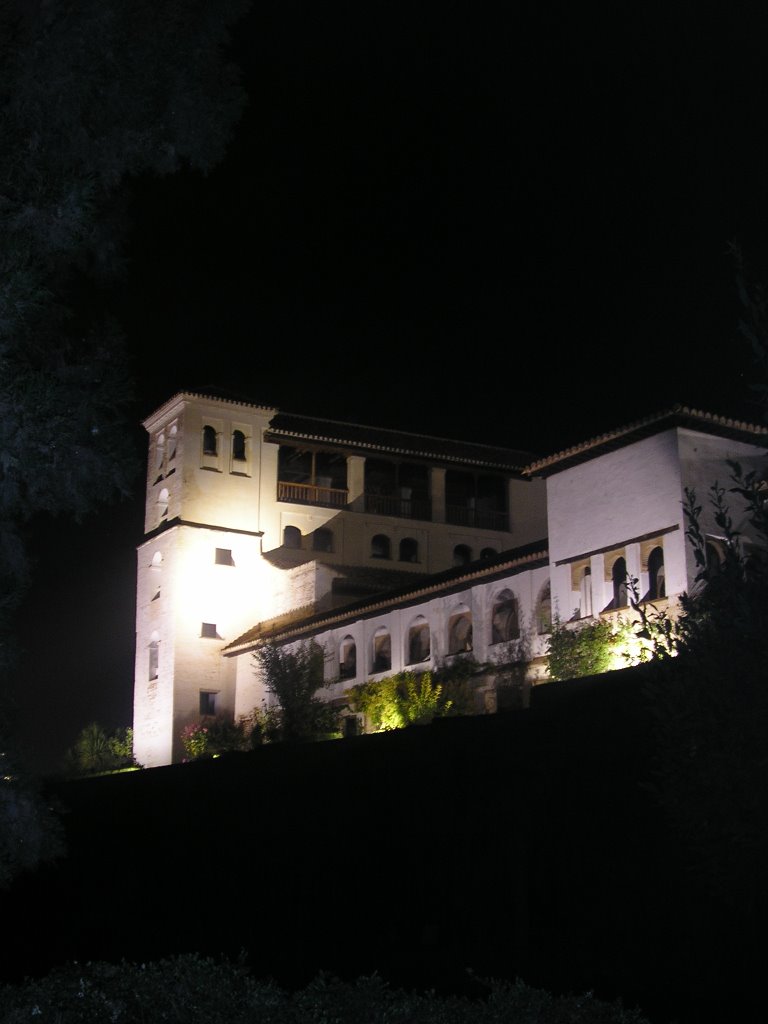 Generalife noche by Javi Canales