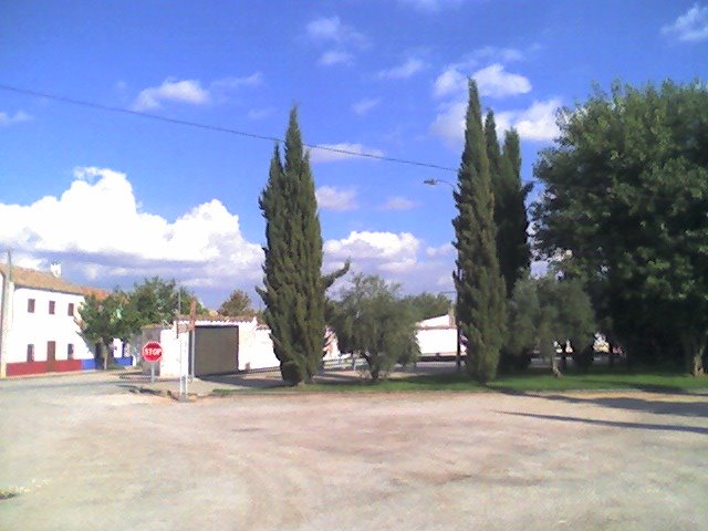 Alameda de Cervera, desde la parada de autobús by JulkPhotos