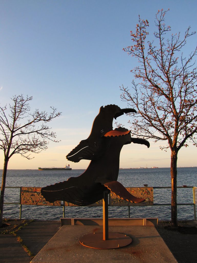 Wales (sculpture) - Port Angeles, WA, USA. by André Bonacin