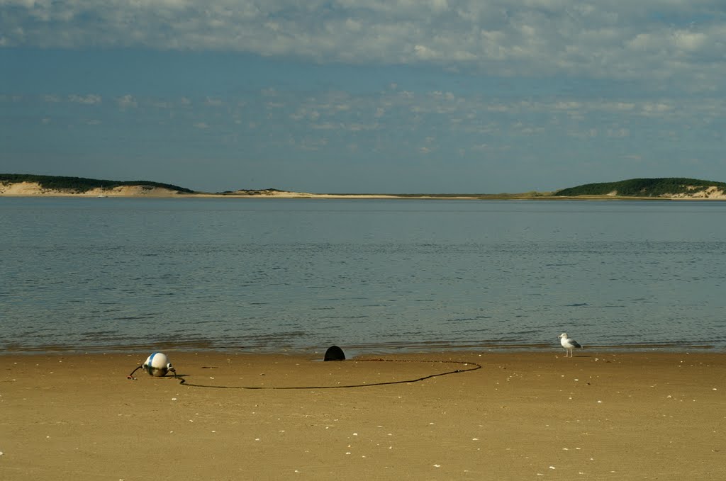 Morning at Indian Neck Beach by massbat