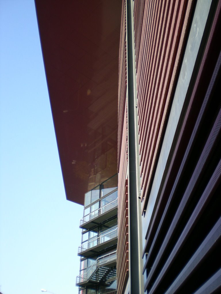 Detalle de la ampliación del Reina Sofia by Pepe Villalobos