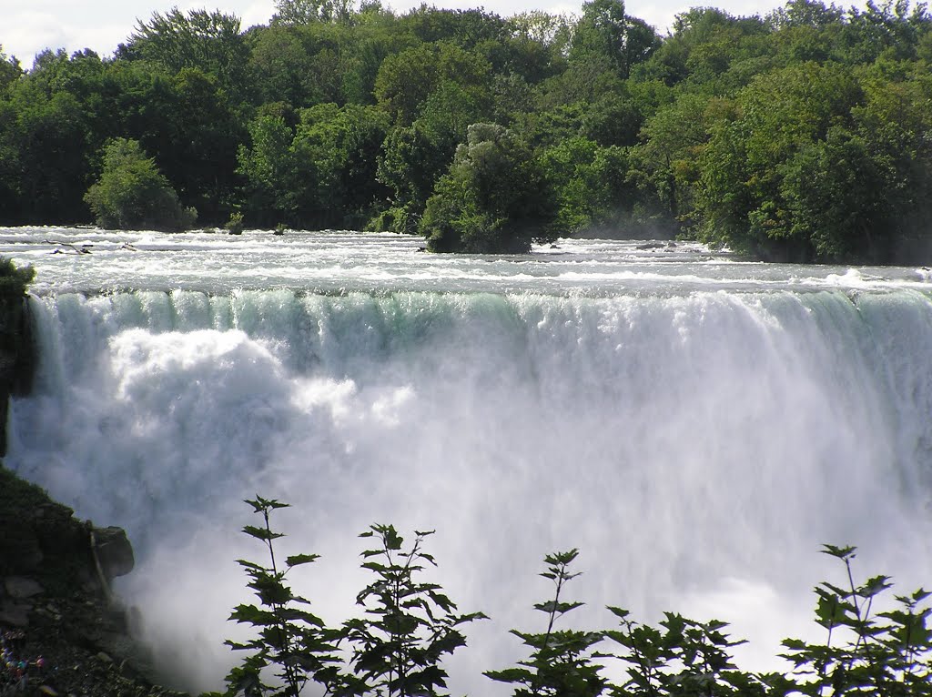 Niagara by Franciscovies