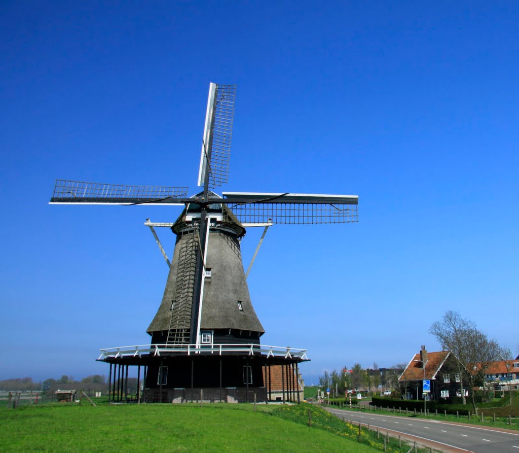 Medeblik. Molen De Herder. by watersnip