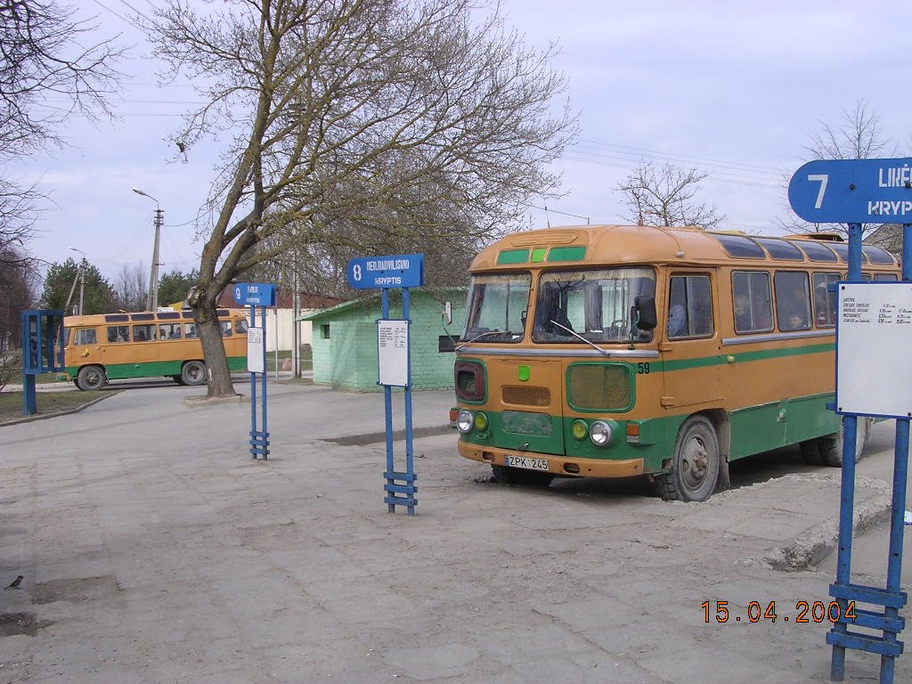 City Bus Stop and Village Busses by ismet soner