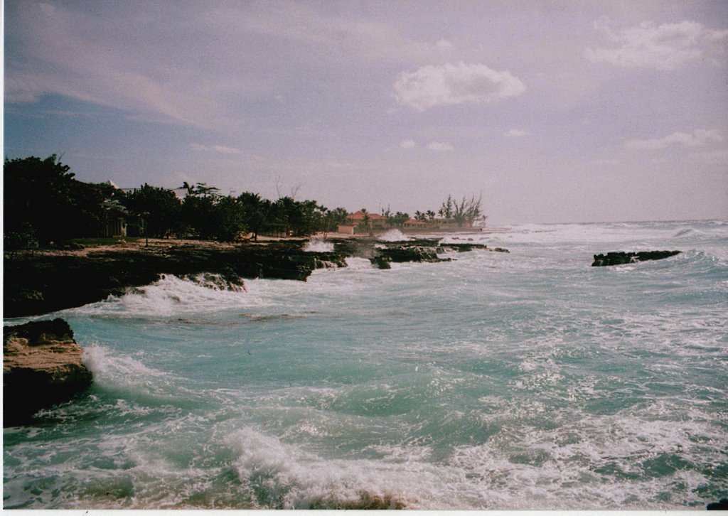 Smith's Cove, Grand Cayman by Nick Gent