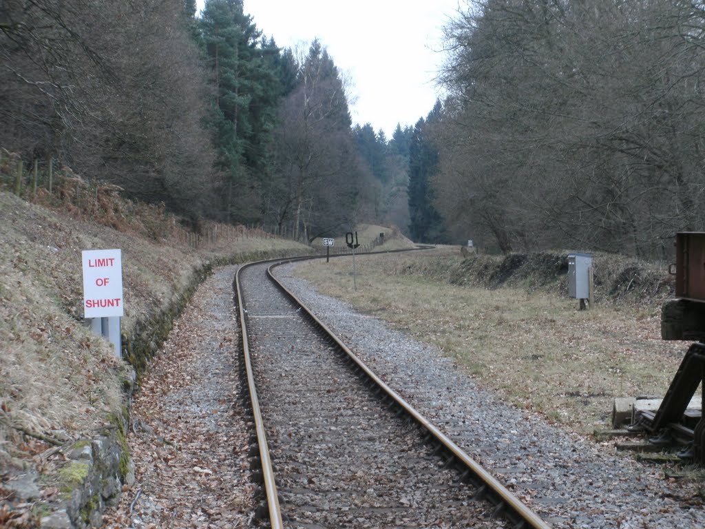 Looking back down the tracks towards Whitecroft by Forester2009