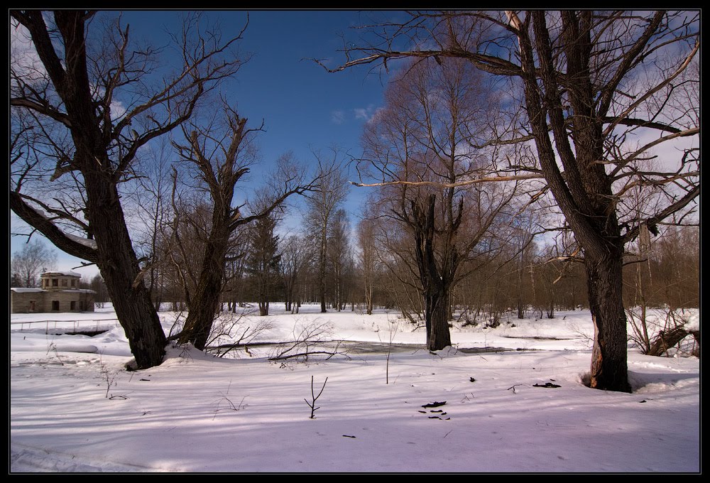 В парке ранней весной. Март 2011 by Synoptic