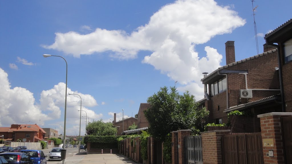 El cielo de mi barrio by Jesús González