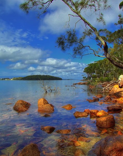 Lttle bay by David Gibbs by David Gibbs72