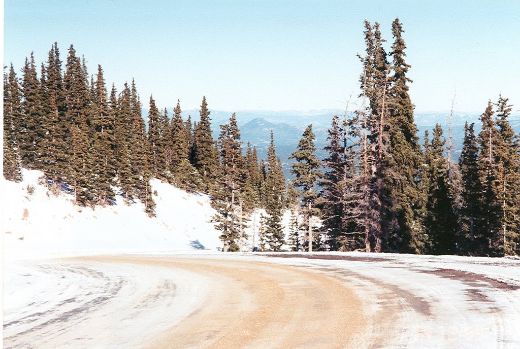 Pikes Peak Rd by Bud B.