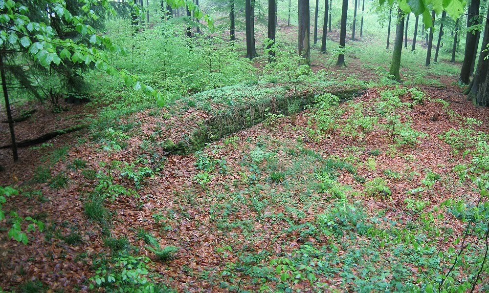 Römisches Kastell Holzhausen - Ostecke (04/2011) by Astrodoc