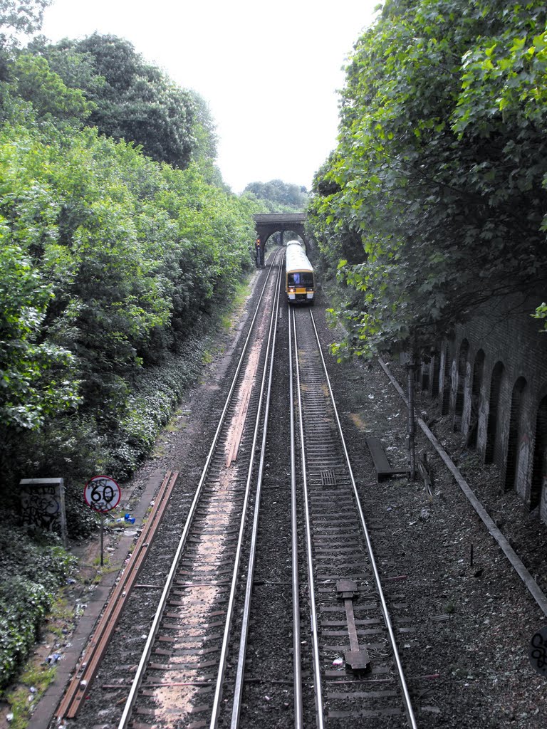 Railway @ Lewisham way london (A20) by Medhanie