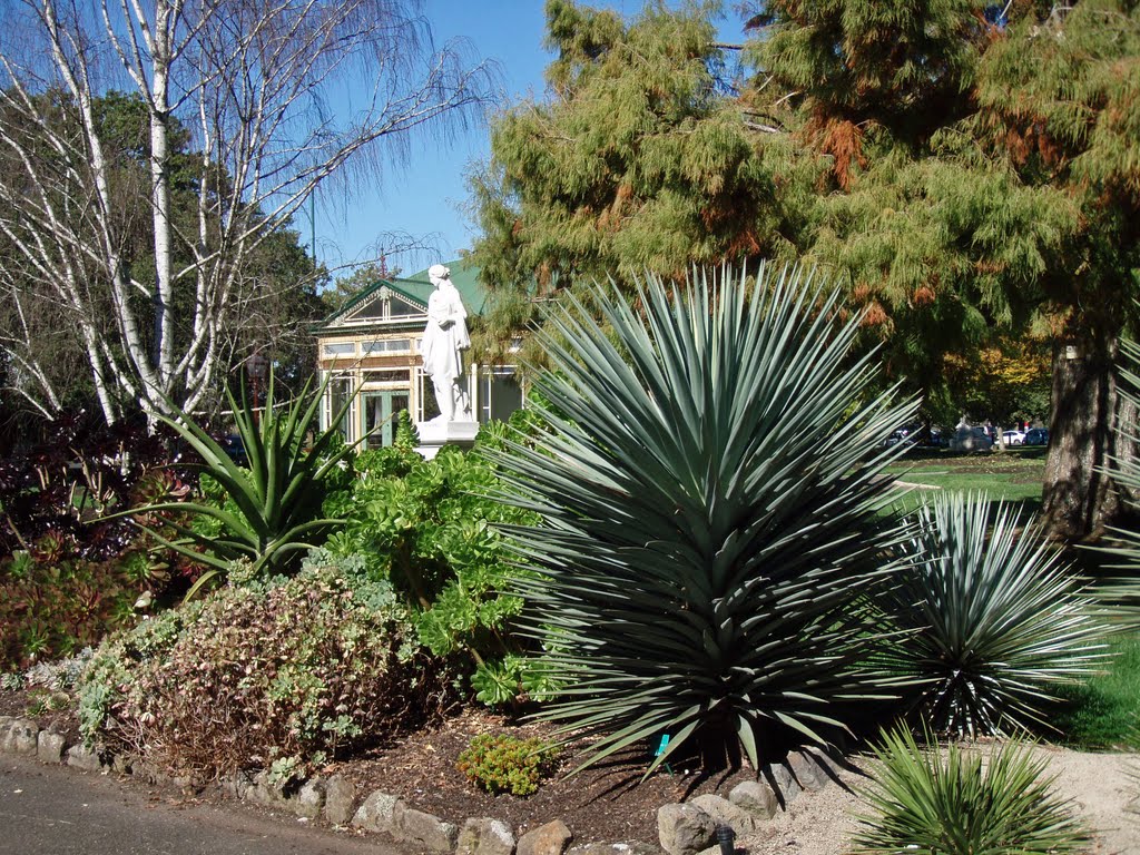 Yucca Rigida and Swamp Cypress by ΅ PhotoKazia ΅