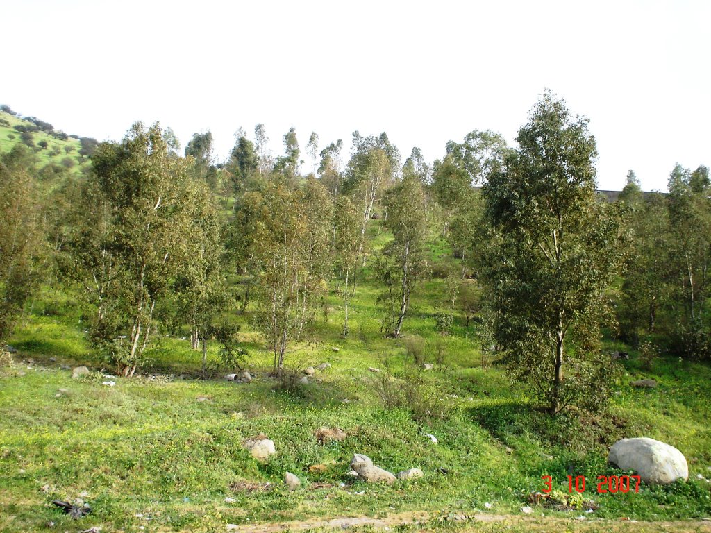 Renca, Santiago Metropolitan Region, Chile by Juan Cruces