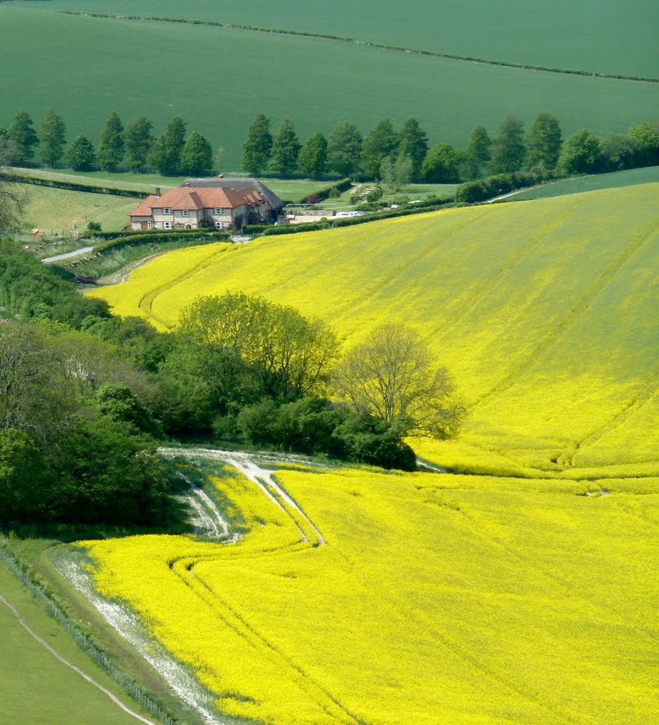 Butser Hill by Nick Knack