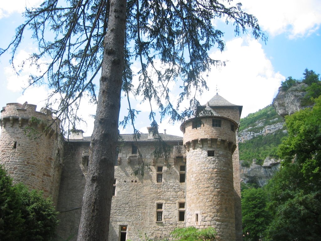 Le Chateau de La Caze, Gorges du Tarn, Lozère, France by ludovic.ruat