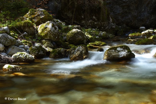 Sorgenti del torrente Astico by Enrico Bauce