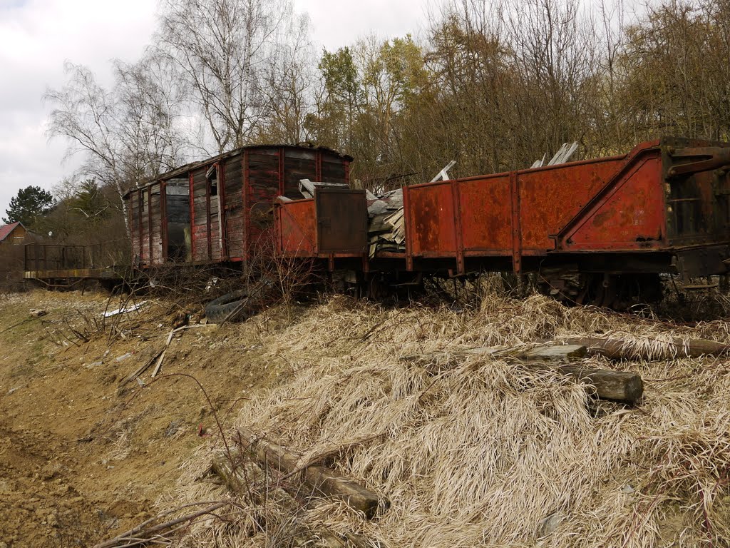 Schmalspur-Waggonrelikte der Jagsttalbahn by Lochenstein