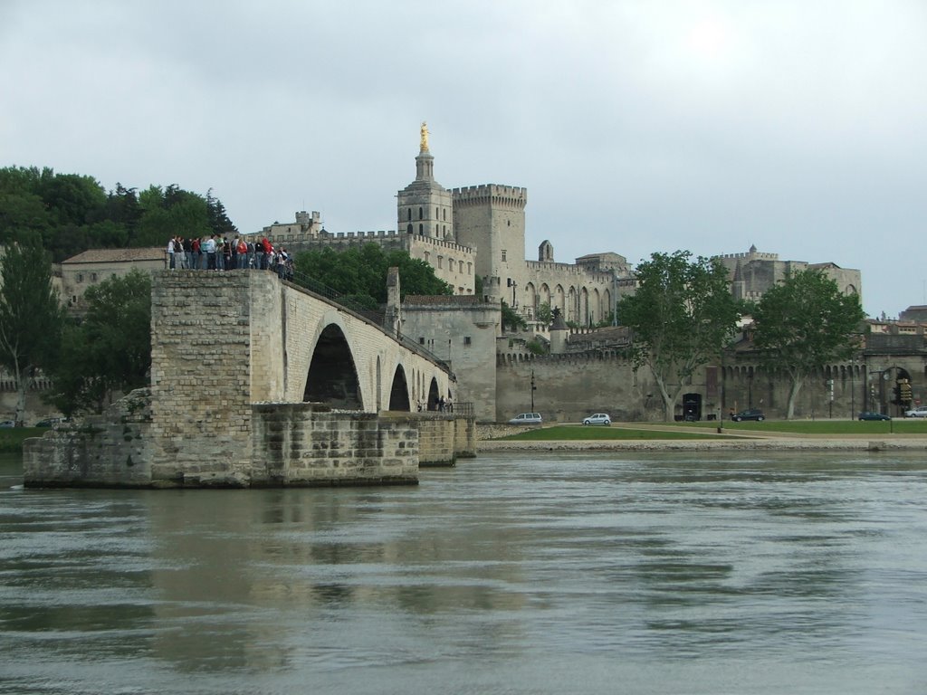 Bridge and Papal Palace, Avignon by John Goodall