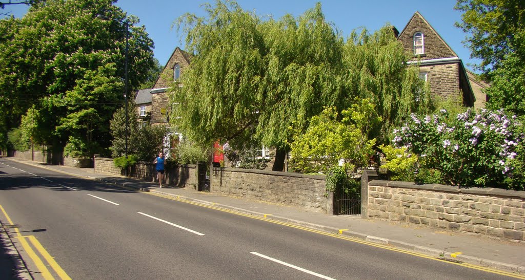 Panorama of a springtime scene on Manchester Road, Broomhill, Sheffield S10 by sixxsix