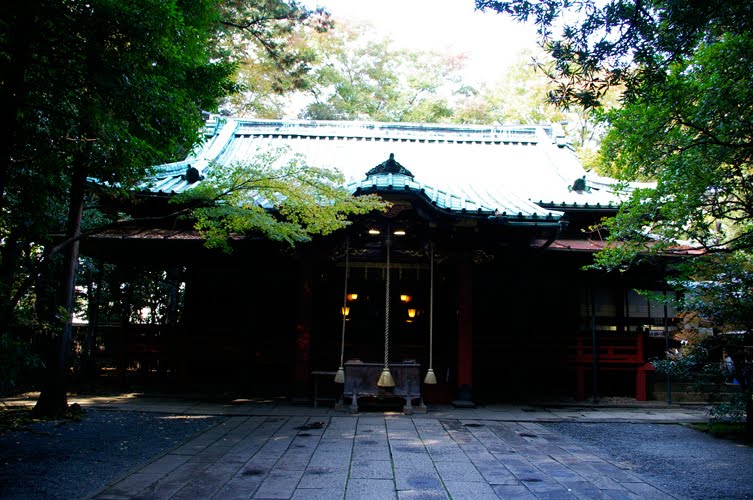 Akasaka-Hikawa Shirne / 赤坂氷川神社 by Kangoo_