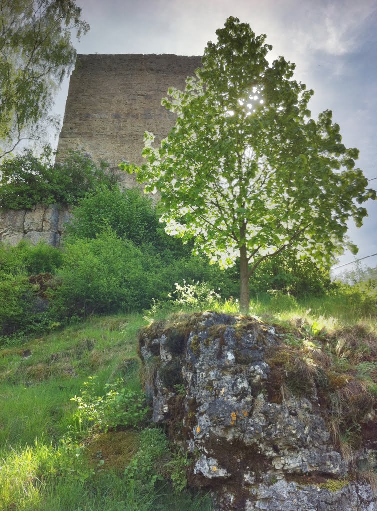 Schloßruine Thuisbrunn by Orlando Chiuso