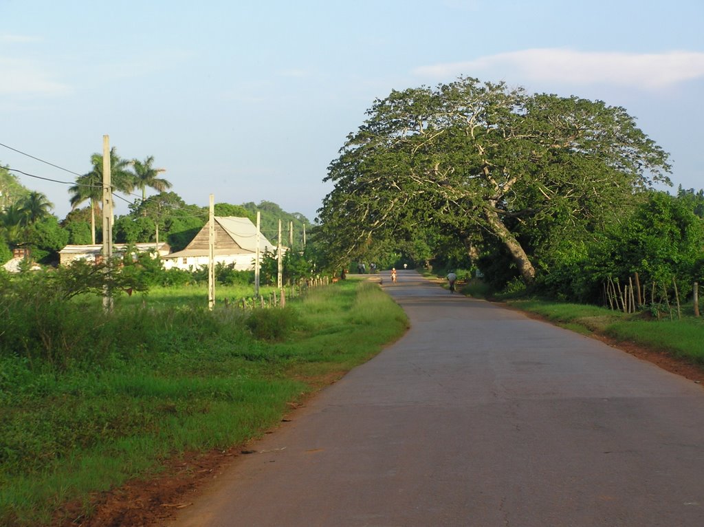 Viñales by Franciscovies