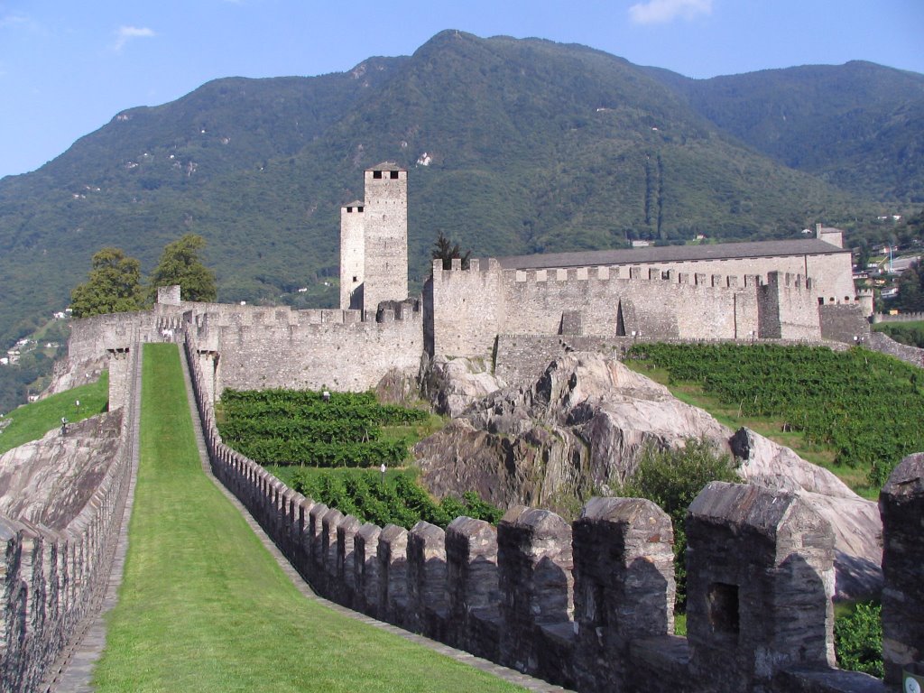 Bellinzona by Sergey Samusenko