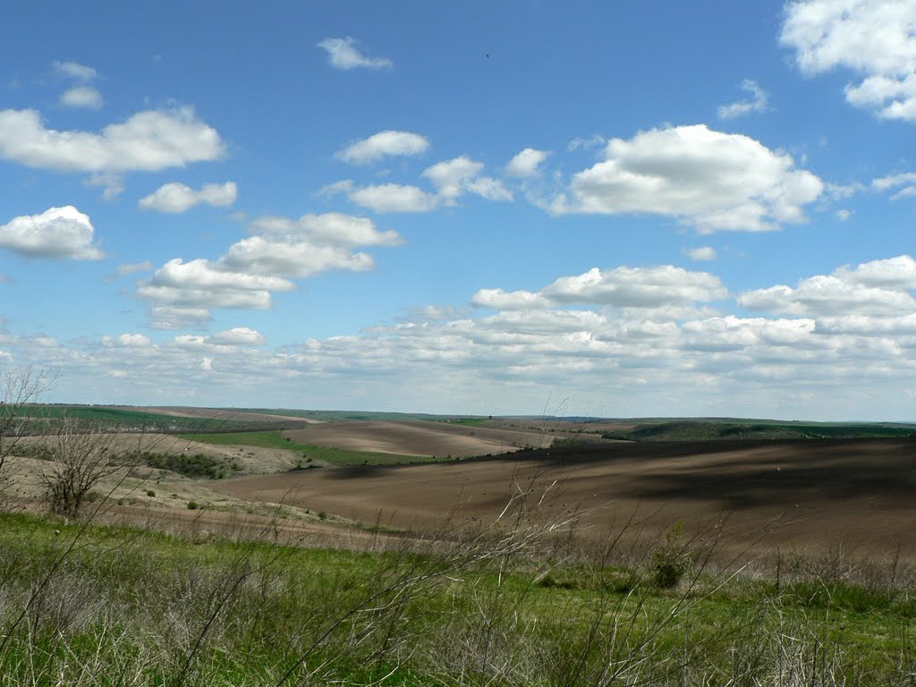 Край село Иваново / Near village Ivanovo by Ивайло Николаев