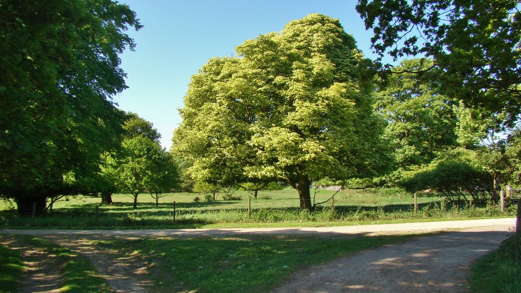 Panorama of Oaks Park scene, Sheffield S8 by sixxsix